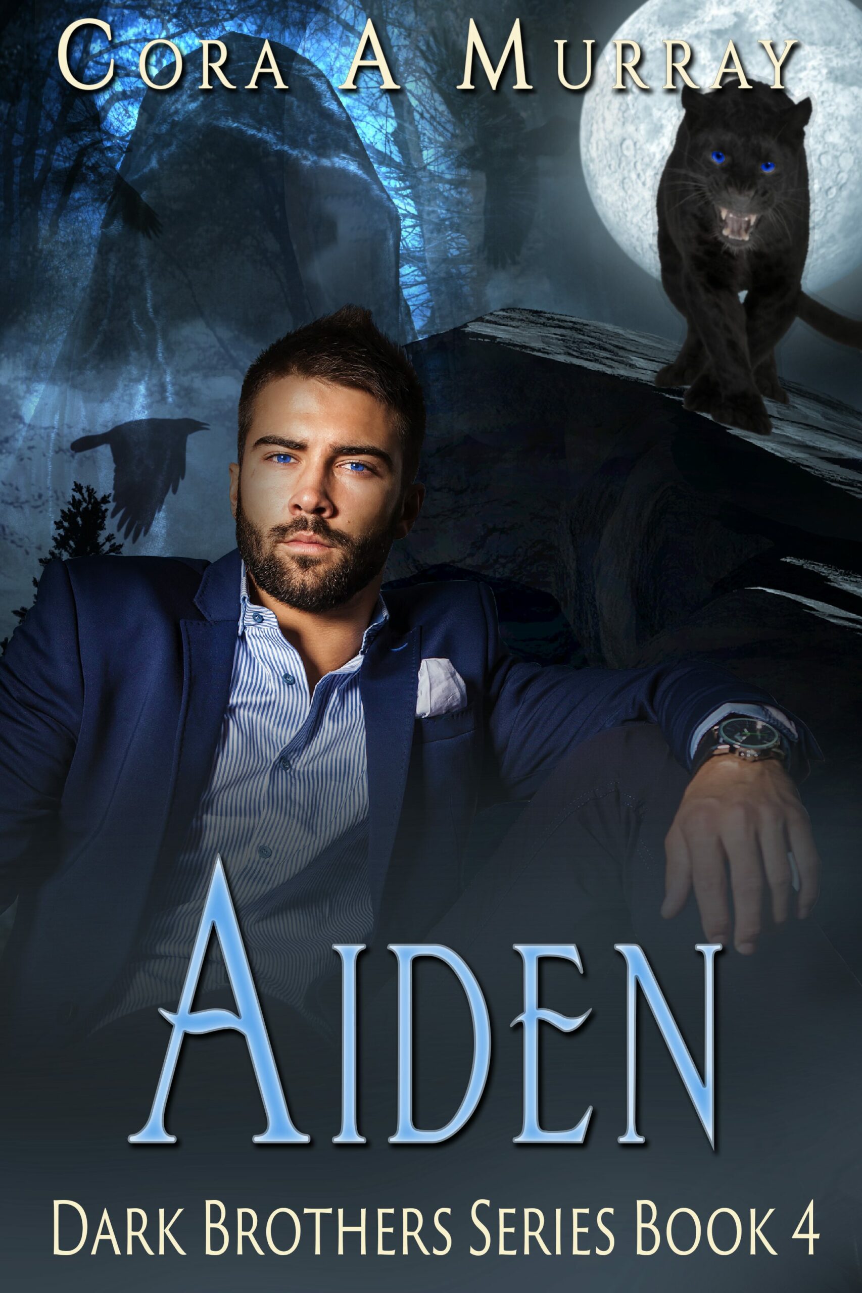 aidennew